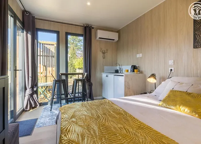 La Cigale Et La Fourmi Savoisienne - * Aix-les-Bains