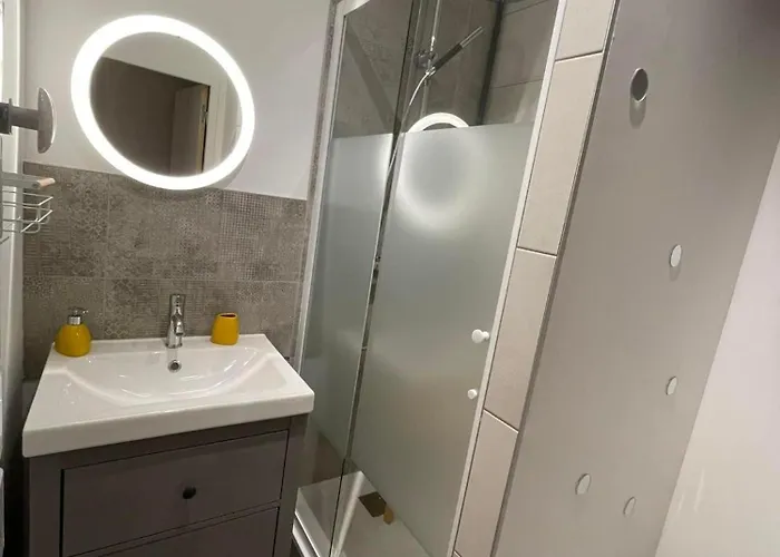 La Cigale Et La Fourmi Savoisienne - Aix-les-Bains