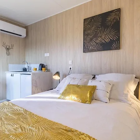 La Cigale Et La Fourmi Savoisienne - Aix-les-Bains