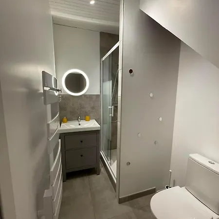 La Cigale Et La Fourmi Savoisienne - Lejlighed *