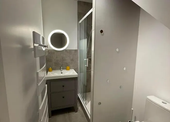 La Cigale Et La Fourmi Savoisienne - Apartamento *